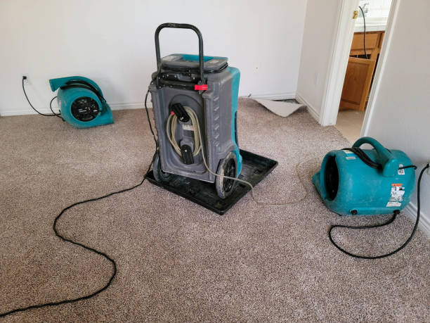 Best Water damage contractors near me  in Mono Vista, CA