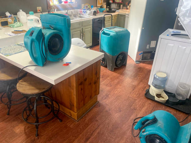 Best Basement water damage restoration  in Mono Vista, CA
