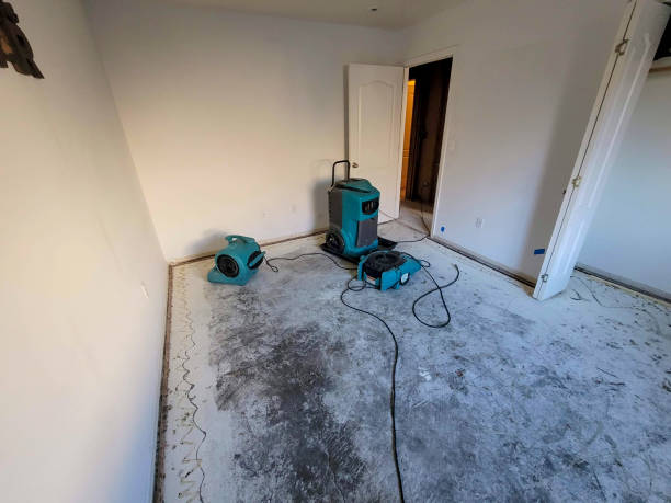 Best Commercial water damage restoration  in Mono Vista, CA