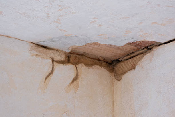 Best Water damage restoration services  in Mono Vista, CA