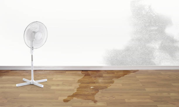 Best 24/7 water damage repair  in Mono Vista, CA