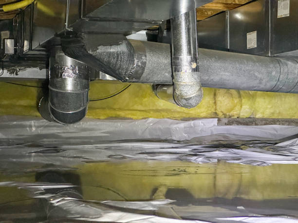 Best Flood damage cleanup  in Mono Vista, CA