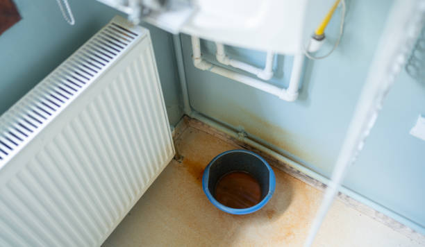 Best Water damage restoration near me  in Mono Vista, CA