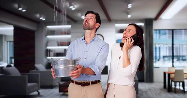 Best Residential water damage restoration  in Mono Vista, CA