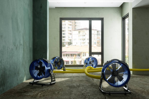 Best 24-hour water damage restoration  in Mono Vista, CA