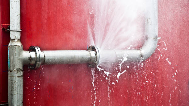 Best Flood restoration services  in Mono Vista, CA